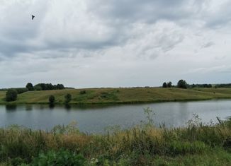 Продаю участок, 22 сот., деревня Родники, улица Мира