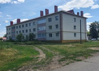 Продается 1-комнатная квартира, 33.1 м2, деревня Ольховка, улица Мира, 9А