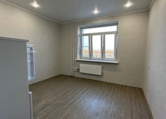 Сдача в аренду квартиры студии, 19 м2, Новосибирская область, Большая улица, 676