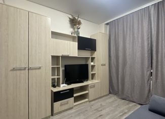 Продажа квартиры студии, 20 м2, Уссурийск, улица Александра Францева, 38