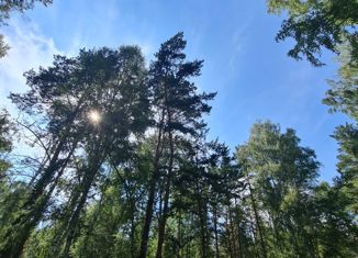 Земельный участок на продажу, 8 сот., село Спирино, Боровая улица, 11/1