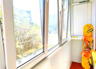 Продажа 3-комнатной квартиры, 63.8 м2, Елизово, Сопочная улица, 1