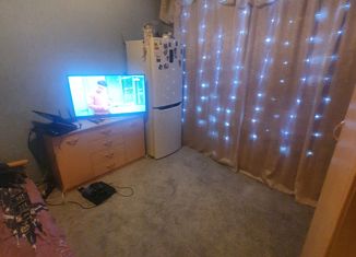 1-комнатная квартира на продажу, 21.4 м2, Мирный, улица Тихонова, 16А