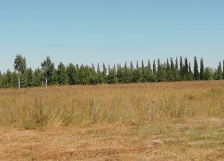 Продаю земельный участок, 10 сот., деревня Раздолье