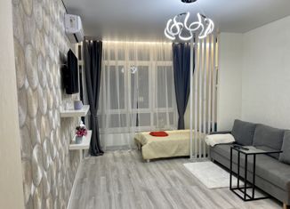 Аренда 1-комнатной квартиры, 30 м2, Кемерово, Солнечный бульвар, 20