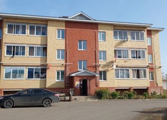 Продам 2-комнатную квартиру, 43 м2, Мензелинск, улица Изыскателей, 3/1А