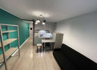 Продаю квартиру студию, 28 м2, Мурино, улица Шувалова, 46, ЖК Цвета радуги