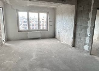 1-ком. квартира на продажу, 49.4 м2, Санкт-Петербург, ЖК Триумф Парк, Среднерогатская улица, 13к1