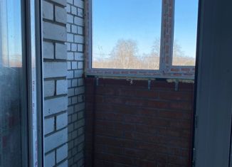 Продам однокомнатную квартиру, 41 м2, Свободный, Шатковская улица, 37