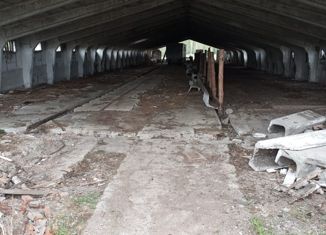 Продается участок, 82 сот., Новосибирская область