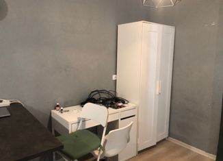 Продам квартиру студию, 26.3 м2, Санкт-Петербург, Парашютная улица, 42к2, ЖК Граффити