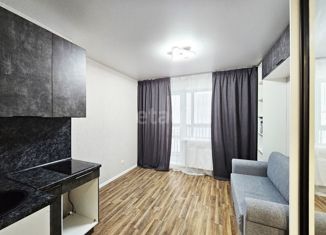 Продам квартиру студию, 24.5 м2, село Чигири, улица Василенко, 3/6