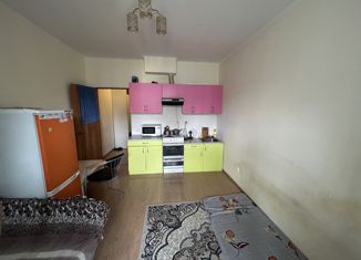 Продается квартира студия, 22 м2, деревня Кудрово, Пражская улица, 11