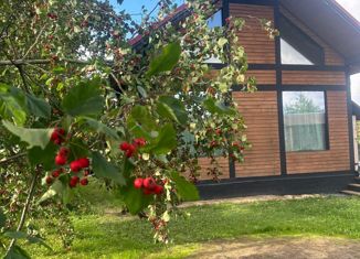 Продается дом, 79 м2, садоводческий массив Новая Ропша, Ягодная улица, 286