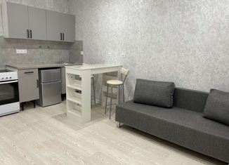 Сдаю квартиру студию, 25 м2, Оренбург, Дзержинский район, улица Автомобилистов, 13