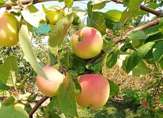 Продам дом, 149 м2, деревня Глущенки, Цветочная улица