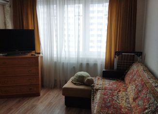 Сдается в аренду 1-комнатная квартира, 37.8 м2, Краснодарский край, проспект имени писателя Знаменского, 31к1