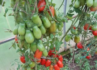 Продам дом, 130 м2, Ржев, посёлок Льночесальной фабрики, 8А