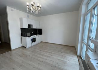 Продаю квартиру студию, 27 м2, деревня Анкудиновка, ЖК КМ Анкудиновский Парк