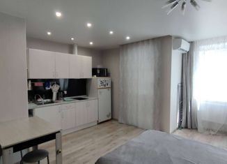 Сдается квартира студия, 27.2 м2, Мурино, Новая улица, 13к1, ЖК Новое Мурино