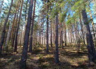 Земельный участок на продажу, 8.1 сот., СНТ Рябинушка-3, 6-я улица, 29