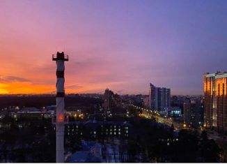 Продам 2-ком. квартиру, 55 м2, Санкт-Петербург, проспект Тореза, 95, метро Озерки