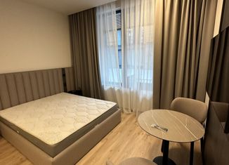 Квартира на продажу студия, 22.9 м2, село Эстосадок, Гаражная улица, 6А