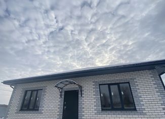 Продам дом, 110 м2, село Шумейка, Пляжная улица, 4