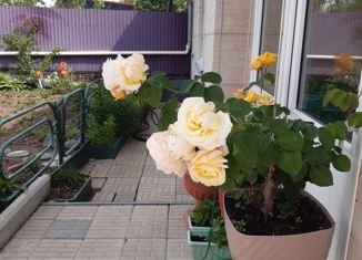 Продаю дом, 83.2 м2, посёлок городского типа Новошахтинский, Шахтёрская улица