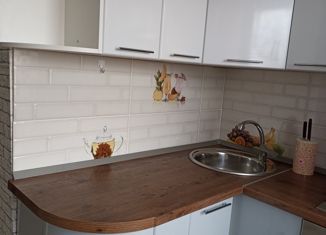 Сдача в аренду 2-комнатной квартиры, 40 м2, Соликамск, улица Матросова, 69