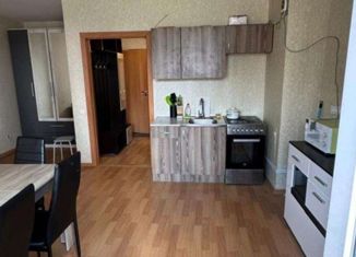 Продаю квартиру студию, 28 м2, Санкт-Петербург, Заречная улица, 45к2, метро Парнас