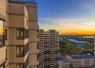 Продается квартира студия, 30.8 м2, Санкт-Петербург, метро Пролетарская