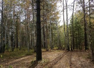 Продаю дом, 45 м2, деревня Дубровина