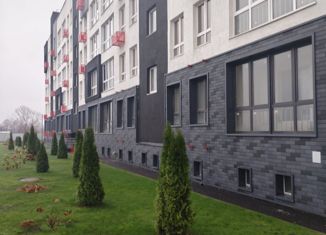 Продам однокомнатную квартиру, 33.7 м2, деревня Ветошниково, улица Ивана Спатара, 26