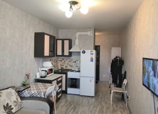 Квартира на продажу студия, 23.5 м2, Краснодар, улица Евгении Жигуленко, 9, ЖК Победа