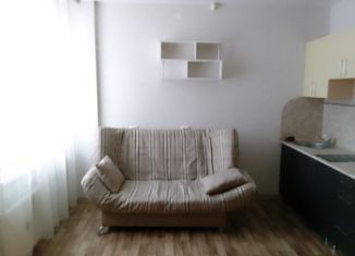 Сдам в аренду квартиру студию, 25 м2, Барнаул, улица Сергея Ускова, 37, ЖК Матрёшки