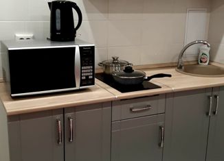 Сдача в аренду квартиры студии, 26 м2, Барнаул, улица Челюскинцев, 80Вк1, ЖК Новый Квартал