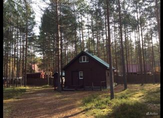 Продаю дом, 56 м2, местечко Сосновый Бор, местечко Сосновый Бор, 27