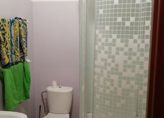 Сдаю в аренду 1-ком. квартиру, 28 м2, Иваново, улица Кузнецова, 67