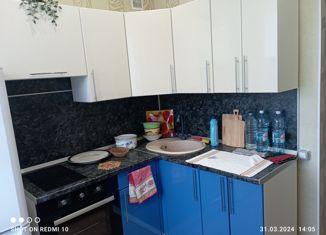 Сдача в аренду однокомнатной квартиры, 33 м2, Кемеровская область, переулок Ушакова, 2