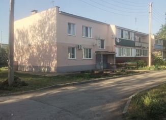 Продажа 2-комнатной квартиры, 48.4 м2, село Песочное, улица Мелиораторов, 6