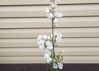 Продаю дом, 92 м2, Курган, улица Чайковского, 66, жилой район Восточный