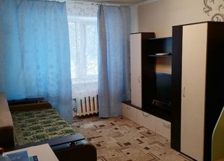Продается однокомнатная квартира, 33 м2, Нижегородская область, улица Строкина, 18А