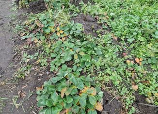 Продажа 2-комнатной квартиры, 47.1 м2, деревня Оськино, деревня Оськино, 8