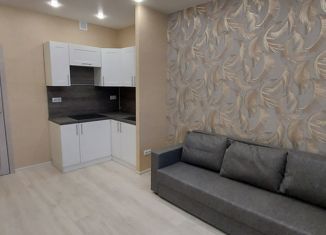 Продам квартиру студию, 20 м2, Санкт-Петербург, ЖК Нью Тайм, Планерная улица, 97к1