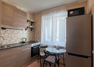 Продается 1-комнатная квартира, 26 м2, Новосибирская область, улица Дмитрия Шмонина, 6