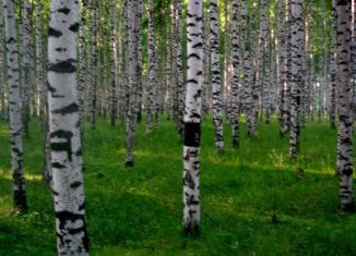 Продается участок, 20 сот., СНТ Росток