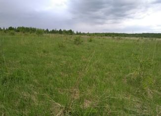 Продам земельный участок, 910 сот., деревня Берёзовка