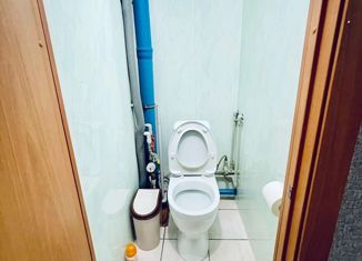 Сдаю в аренду 1-комнатную квартиру, 45 м2, Красноярск, улица Молокова, 1А, Советский район