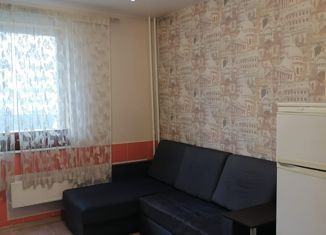 Сдам в аренду квартиру студию, 23.6 м2, Новосибирск, Березовая улица, 19, Березовая улица